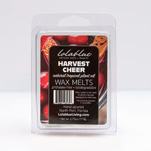 Load image into Gallery viewer, Harvest Cheer Wax Melts