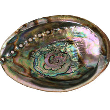 Load image into Gallery viewer, Abalone Shells -  For smudging sage
