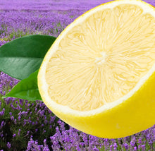 Load image into Gallery viewer, 2oz. Lemon Lavender Body Frosting Creme